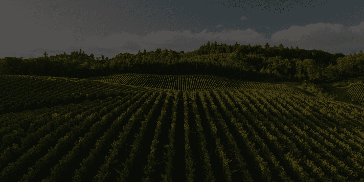 NESS Fertigation precision agriculture